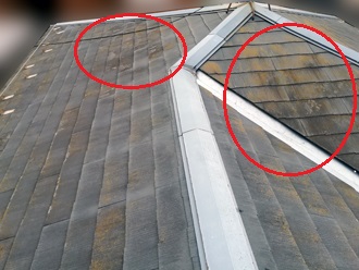 屋根　塗装劣化　苔